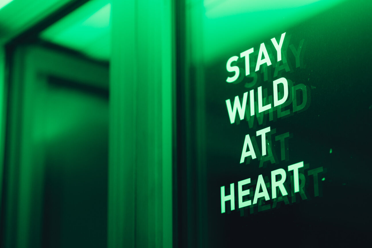 Karriere Stay Wild at Heart